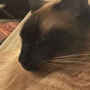 Meet your Posher, Kendrah